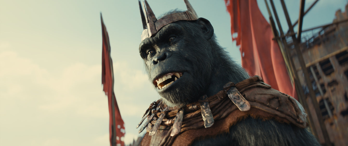 Planet der Affen: New Kingdom 4K UHD + Blu-ray