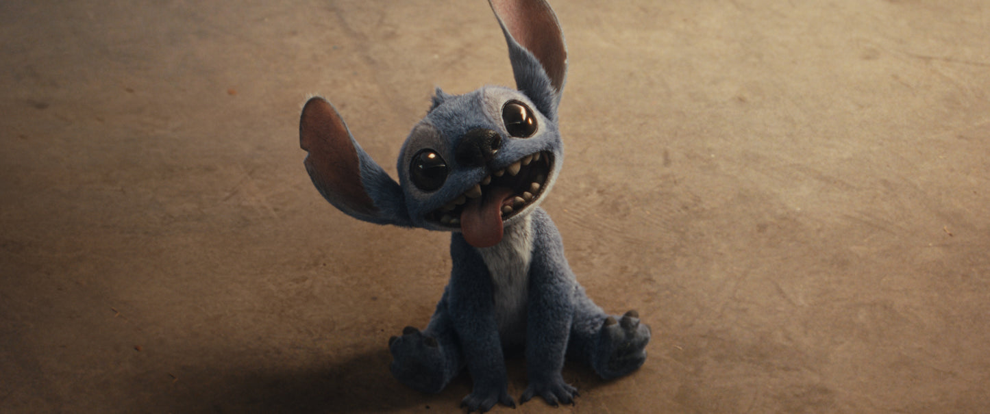 Lilo & Stitch (Live Action) 4K UHD + Blu-ray (Lim. Steelbook)