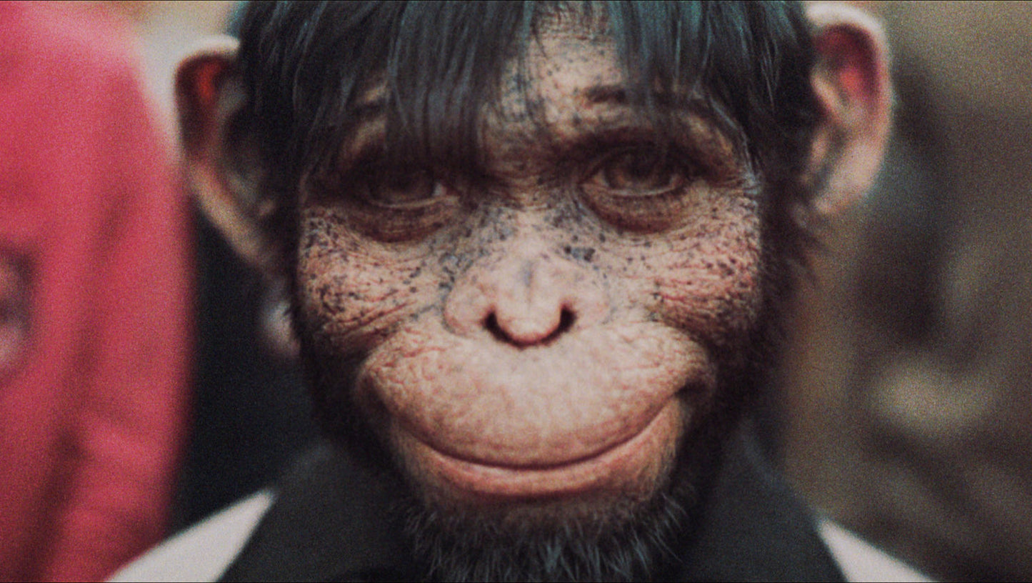 Better Man - Die Robbie Williams Story Blu-ray