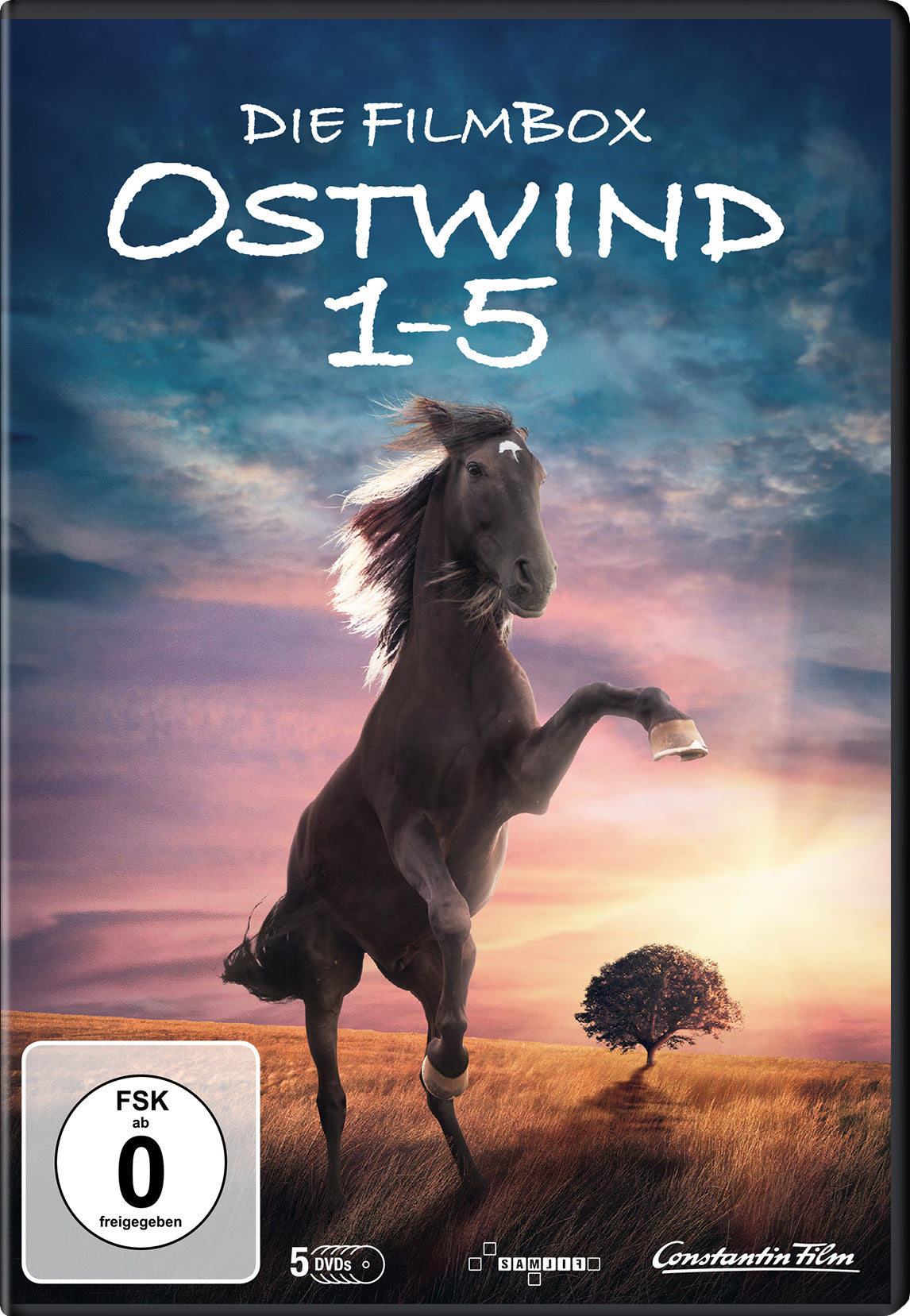 Ostwind 1-5 DVD