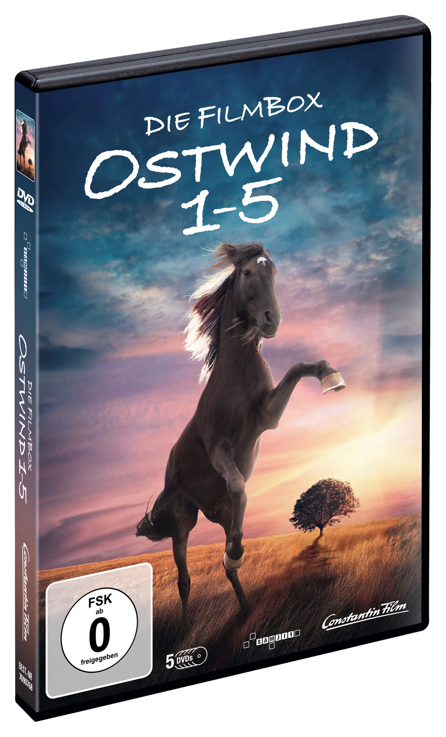 Ostwind 1-5 DVD