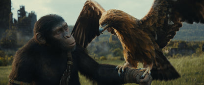 Planet der Affen: New Kingdom 4K UHD + Blu-ray