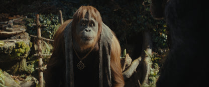 Planet der Affen: New Kingdom 4K UHD + Blu-ray