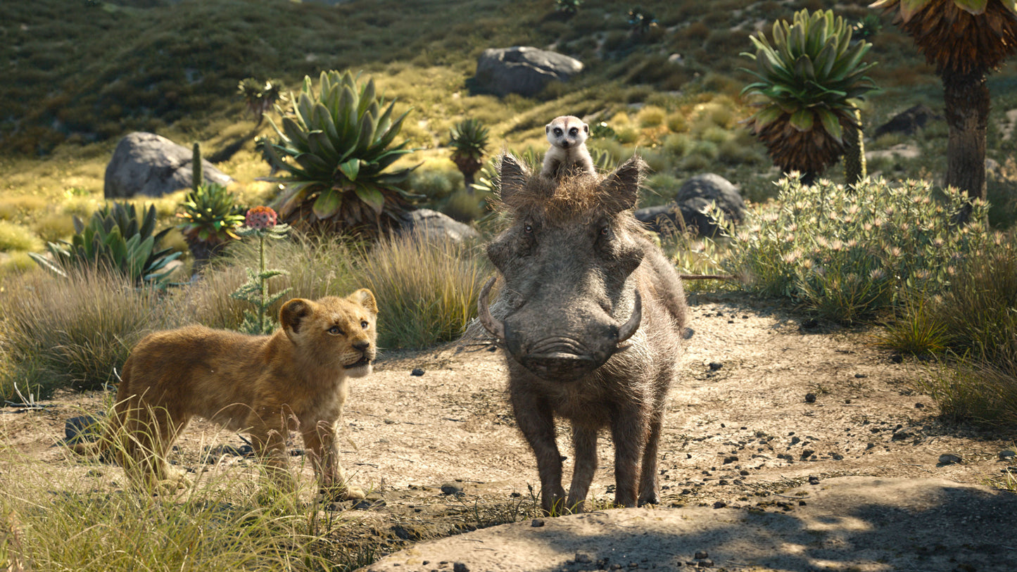 Der König der Löwen (2019) 4K UHD + Blu-ray