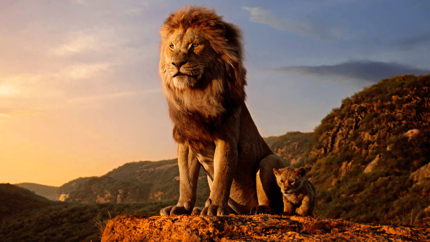 Der König der Löwen + Mufasa (Live Action)