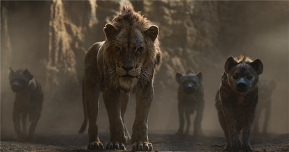 Der König der Löwen (2019) 4K UHD + Blu-ray 4K UHD
