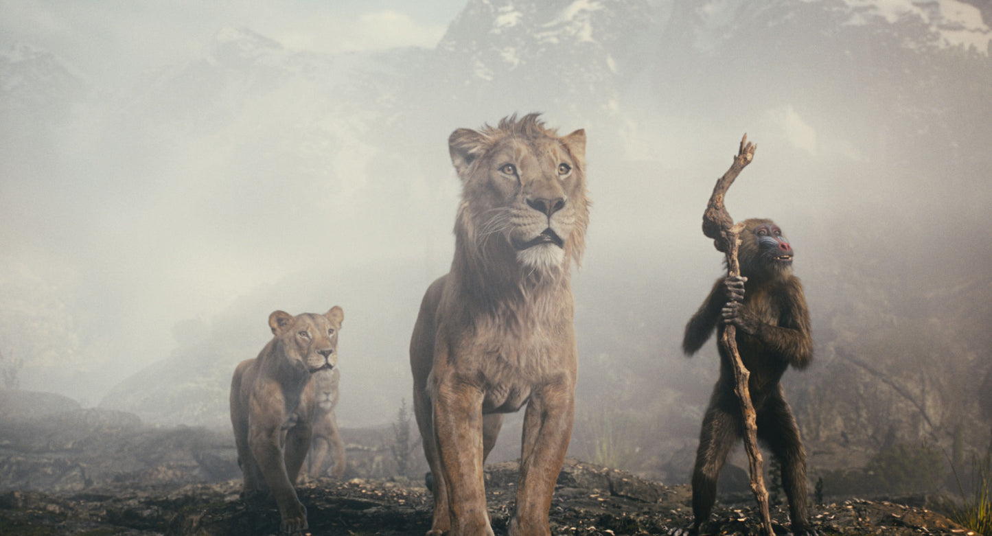 Der König der Löwen + Mufasa (Live Action) Blu-ray