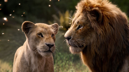 Der König der Löwen + Mufasa (Live Action)