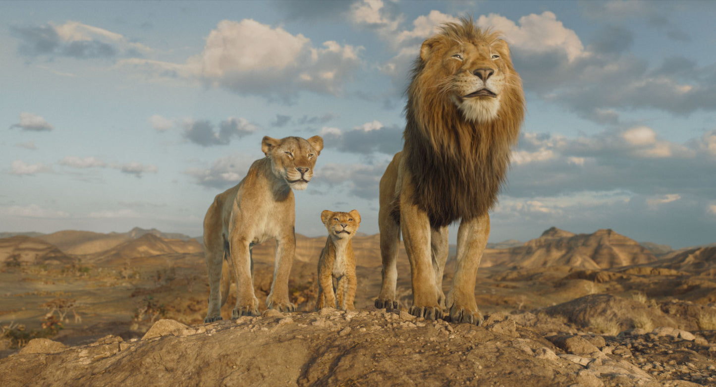 Mufasa: Der König der Löwen 4K UHD + Blu-ray (Lim. Steelbook)